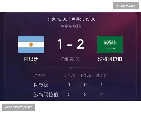 突尼斯晋级世界杯带来千万美元经济效益分析及其潜在影响
